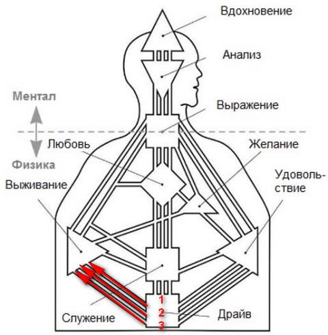 потоки осознанности, интуиция, логика